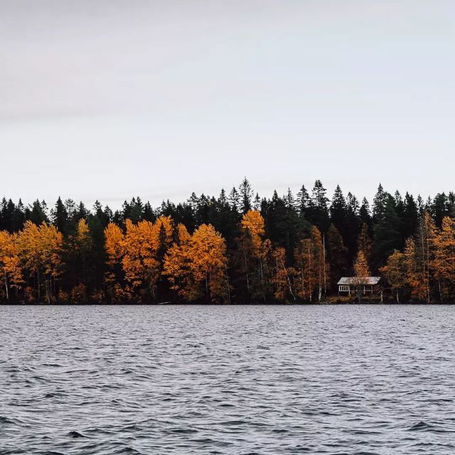 Blick über den Nydalasee, am gegenüberliegenden Ufer stehen Bäume