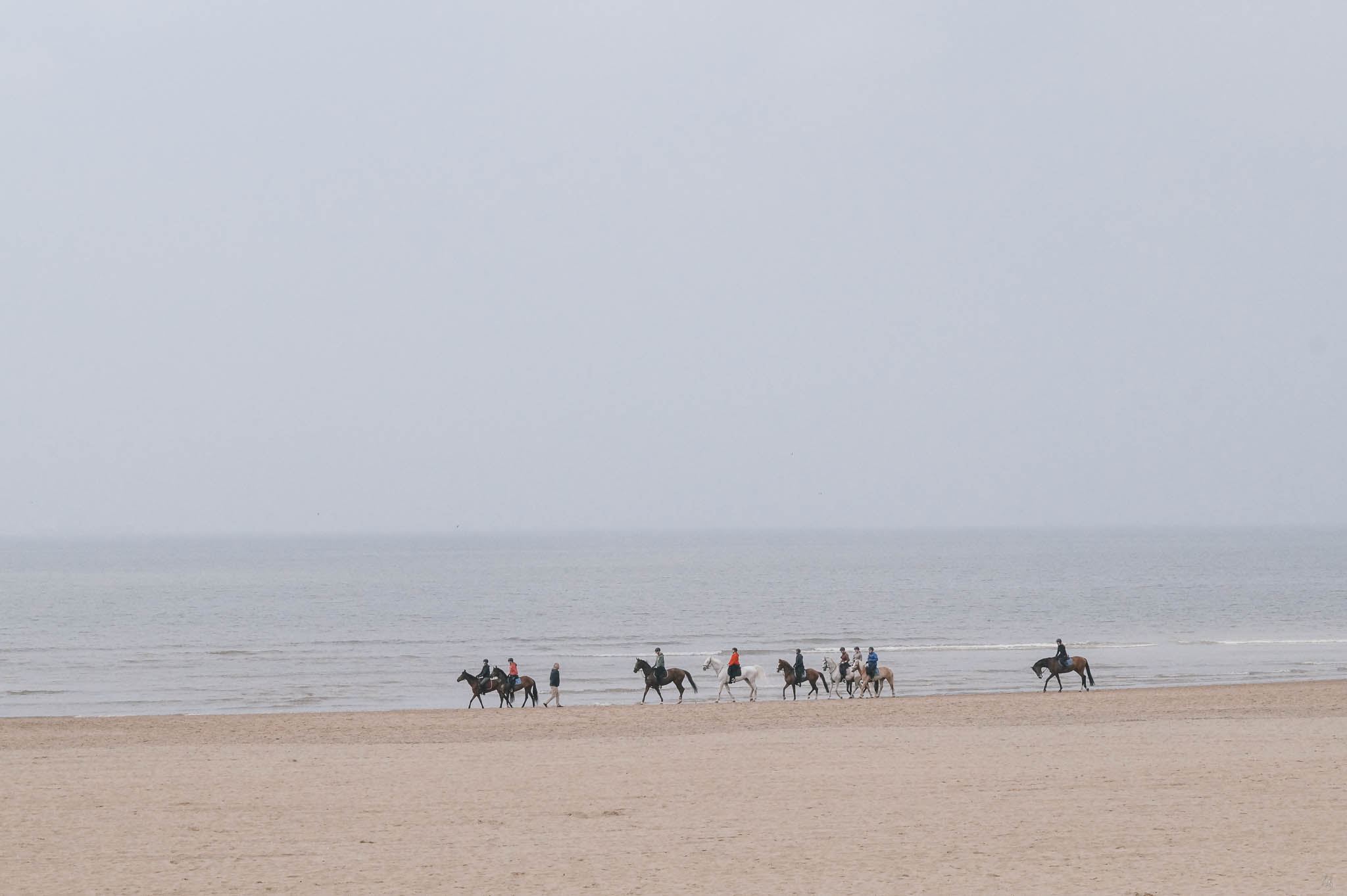 Gruppe reitender Personen am Strand in Den Haag