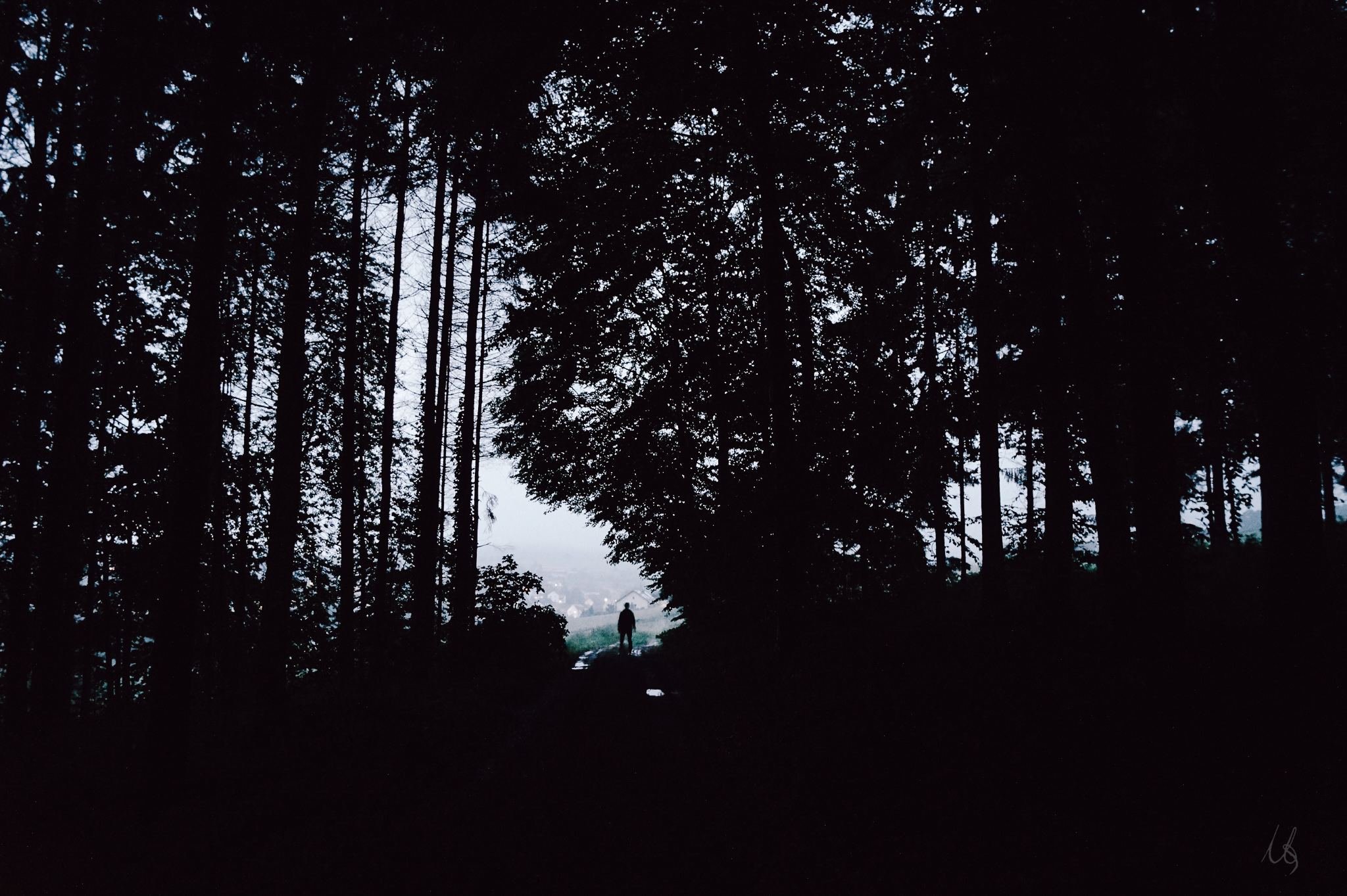 Blick aus dem dunklen Wald zum Licht am Waldausgang