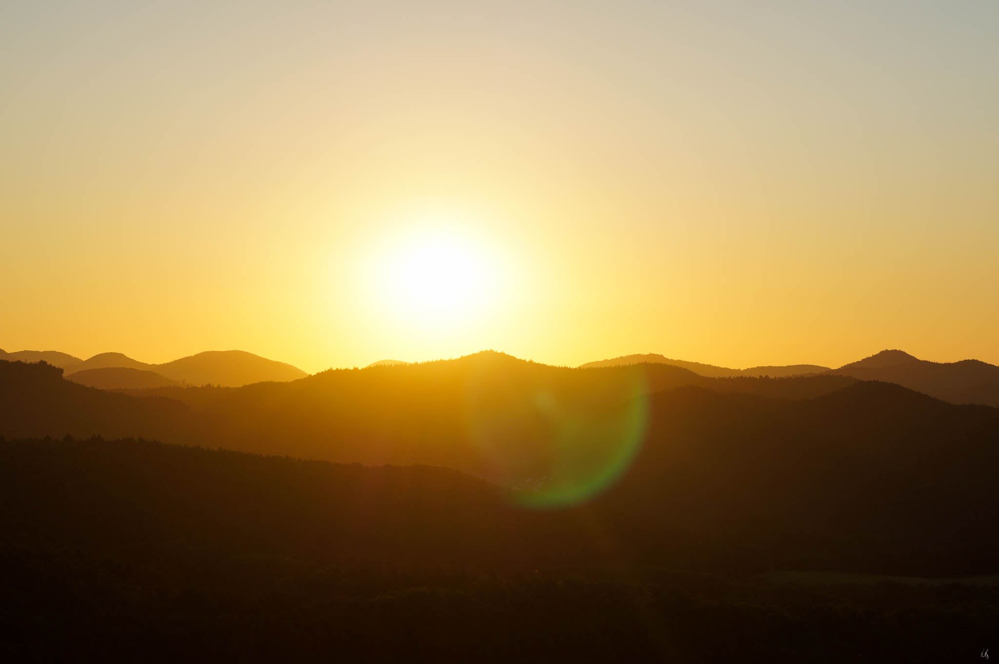 Sonnenuntergang im Pfälzerwald