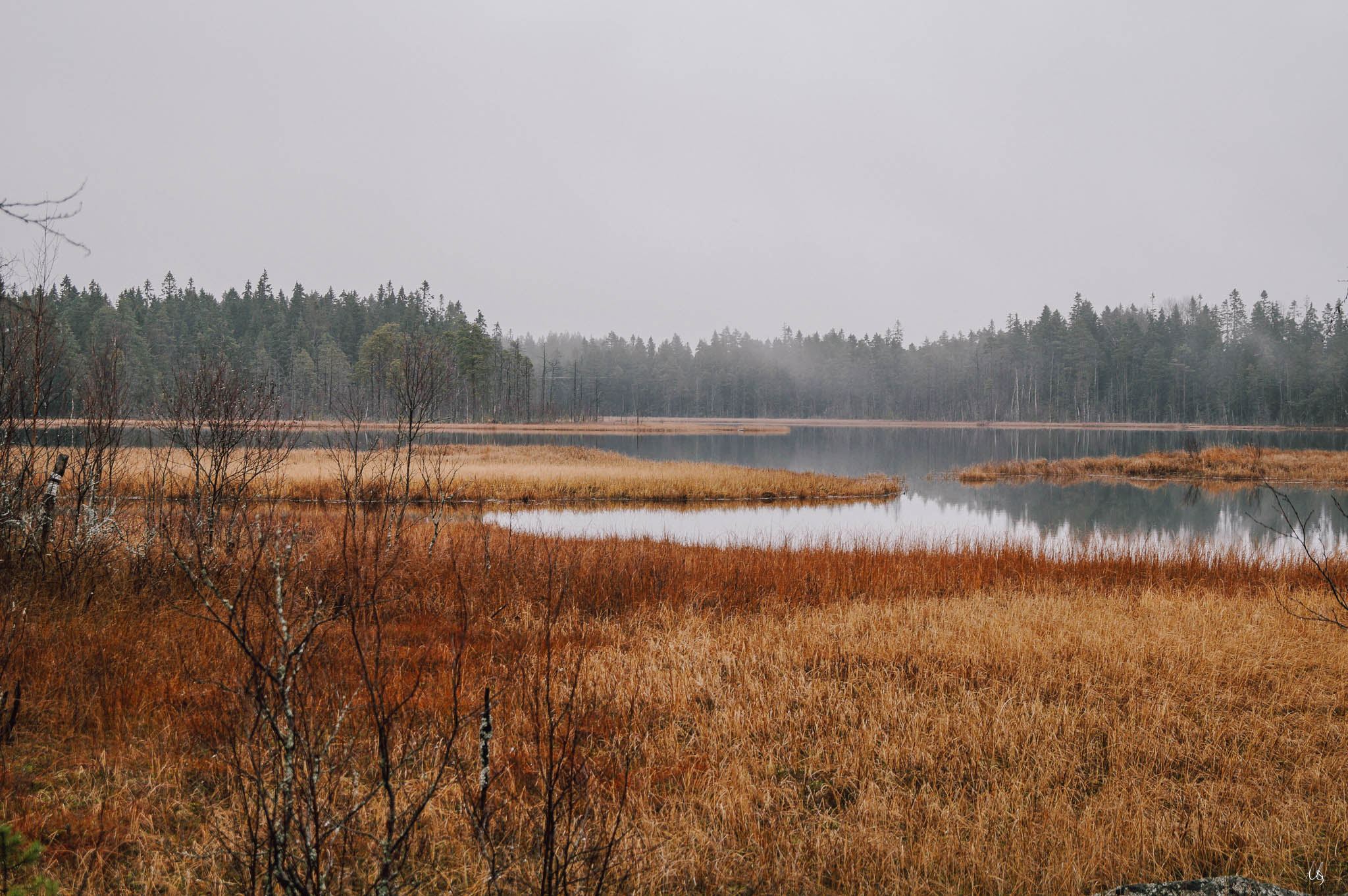 Blick auf einen See im Grössjöns